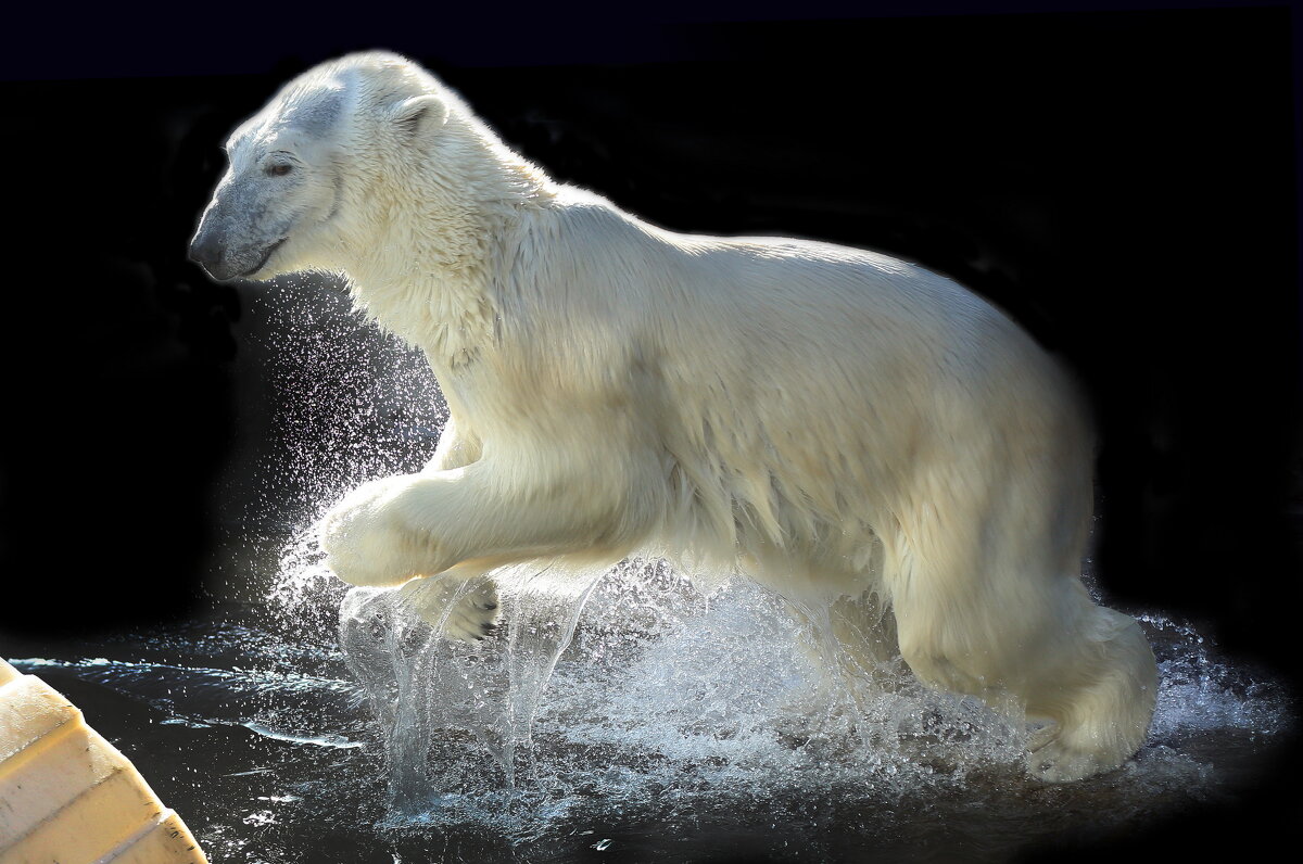 14 марта - Михаил Бибичков