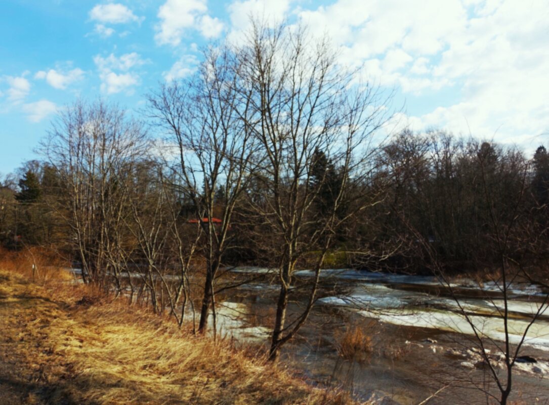 Красивый солнечный день на реке Пирита - Aida10 