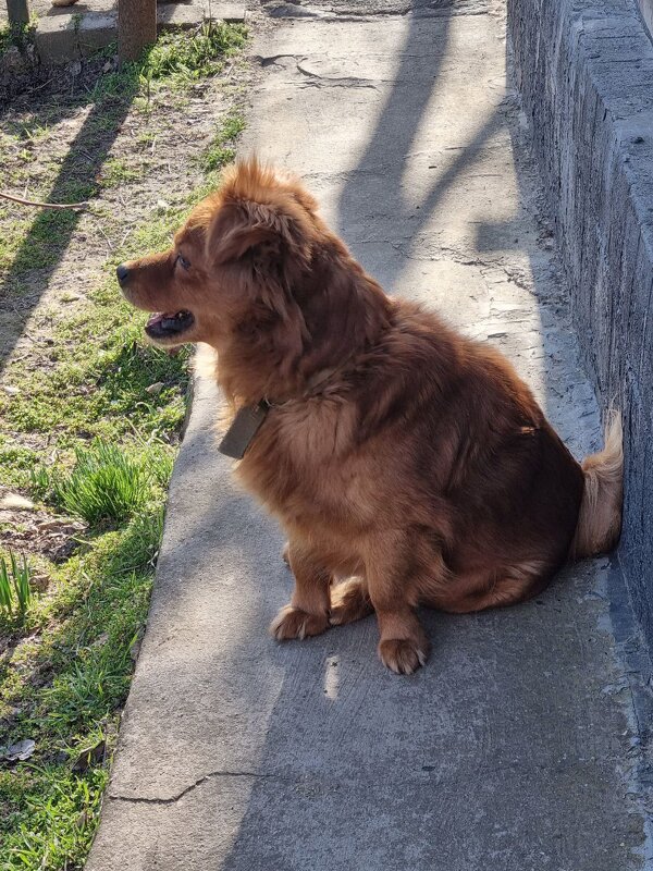 Голоса на улице - Наталья Голоса на улице - Наталья