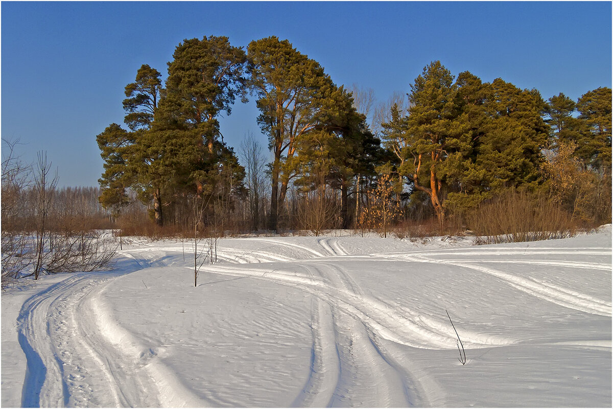 Картинка марта - Валентин Котляров Картинка марта - Валентин Котляров