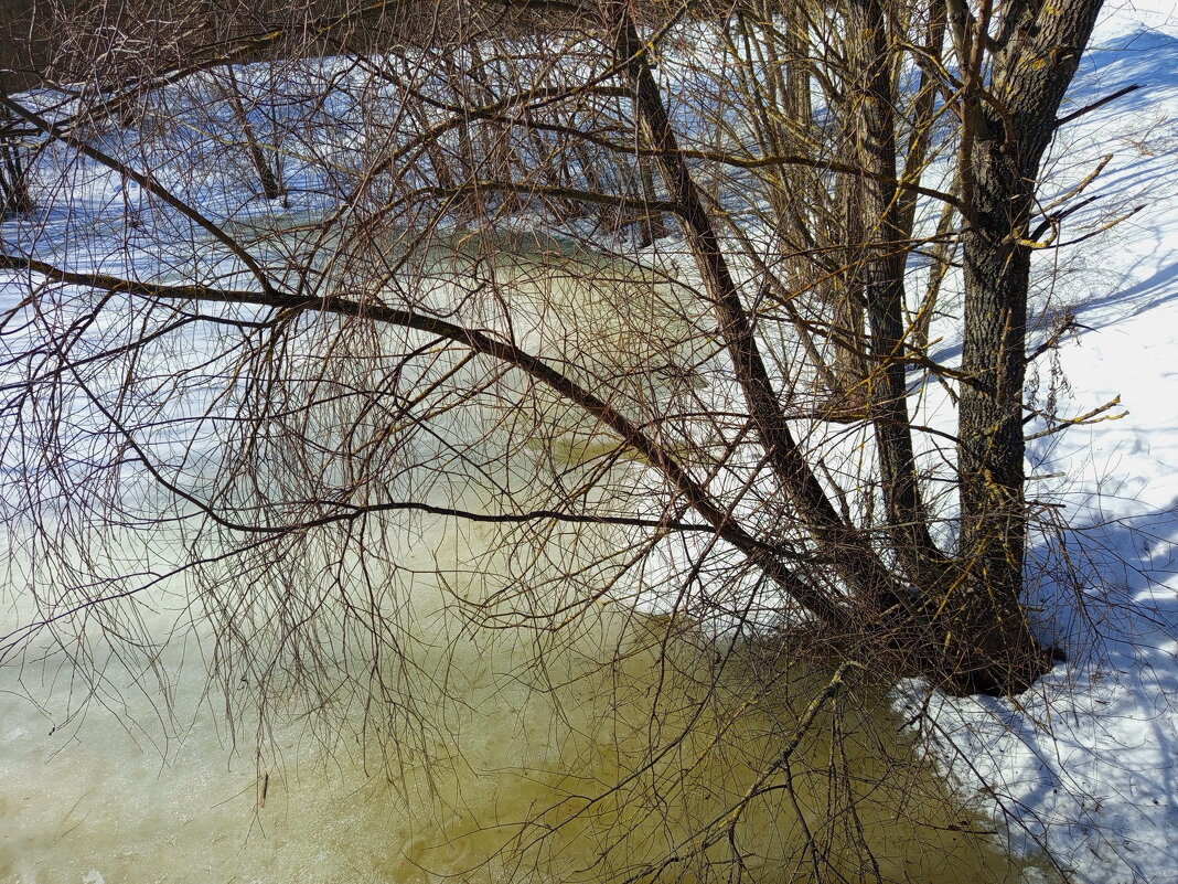 Приметы марта - Андрей Лукьянов Приметы марта - Андрей Лукьянов