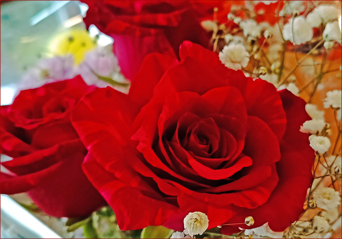 Красавица. - Валентина  Нефёдова 