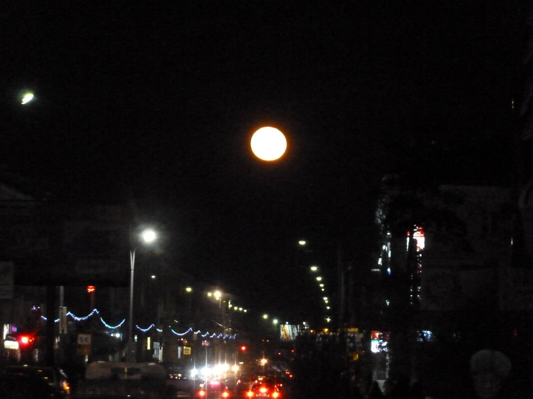 Полнолуние - Галина Минчук