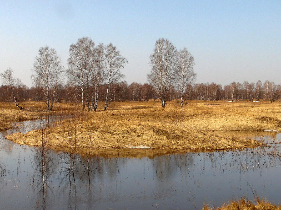 Ещё в полях белеет снег... - nadyasilyuk Вознюк