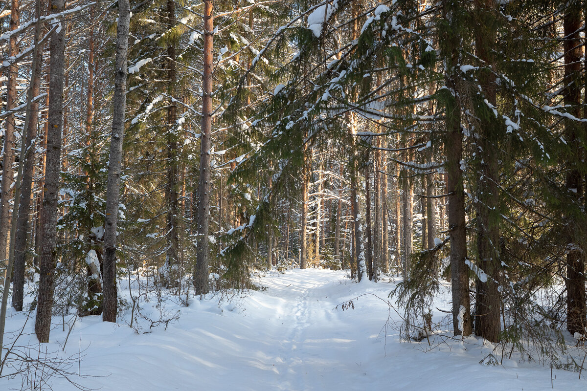 *** - Андрей Дурапов