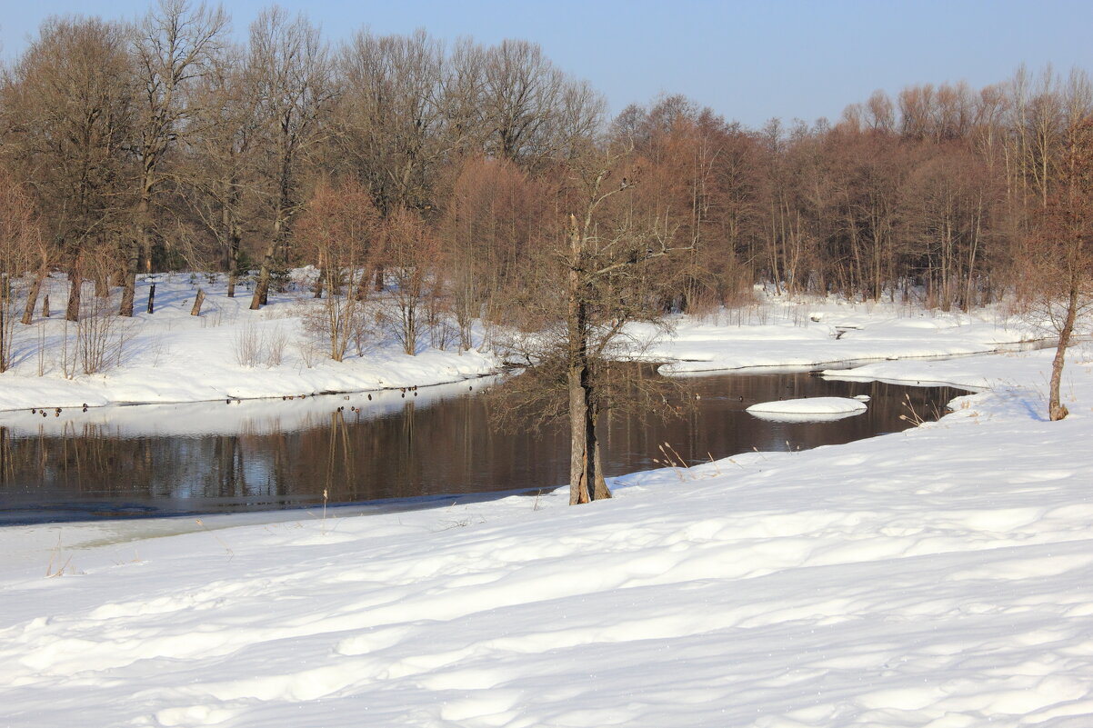 Скоро проснётся... - Евгений Корьевщиков Скоро проснётся... - Евгений Корьевщиков