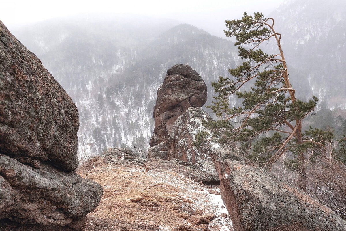 Такмак - Марина Фомина. Такмак - Марина Фомина.