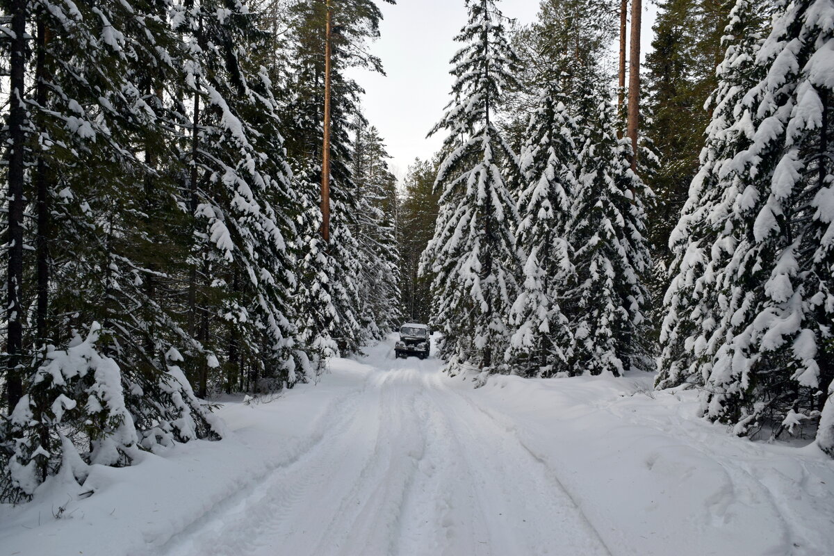 Зимняя дорога. - ВикТор Быстров Зимняя дорога. - ВикТор Быстров