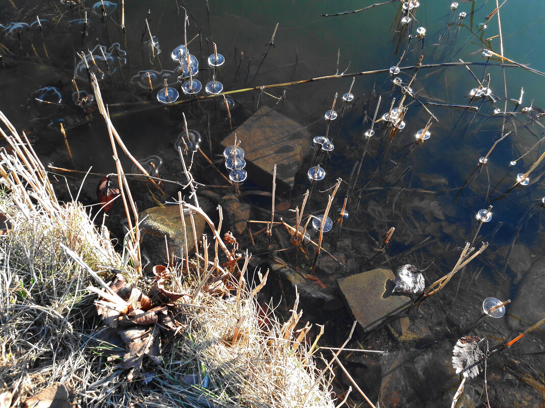 ВЕСЕННИЙ ДЕСАНТ - Виктор Никитенко