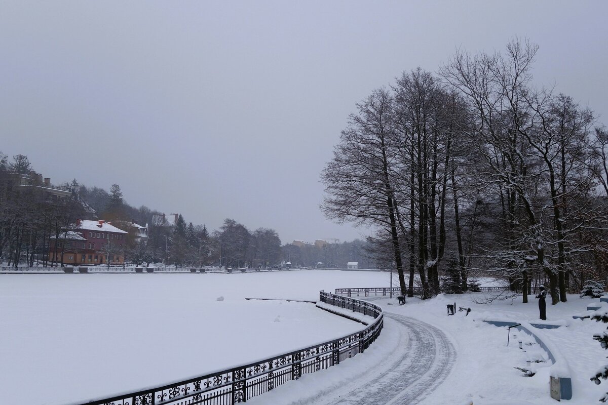 Озеро Тихое, Светлогорск - Рита Симонова Озеро Тихое, Светлогорск - Рита Симонова
