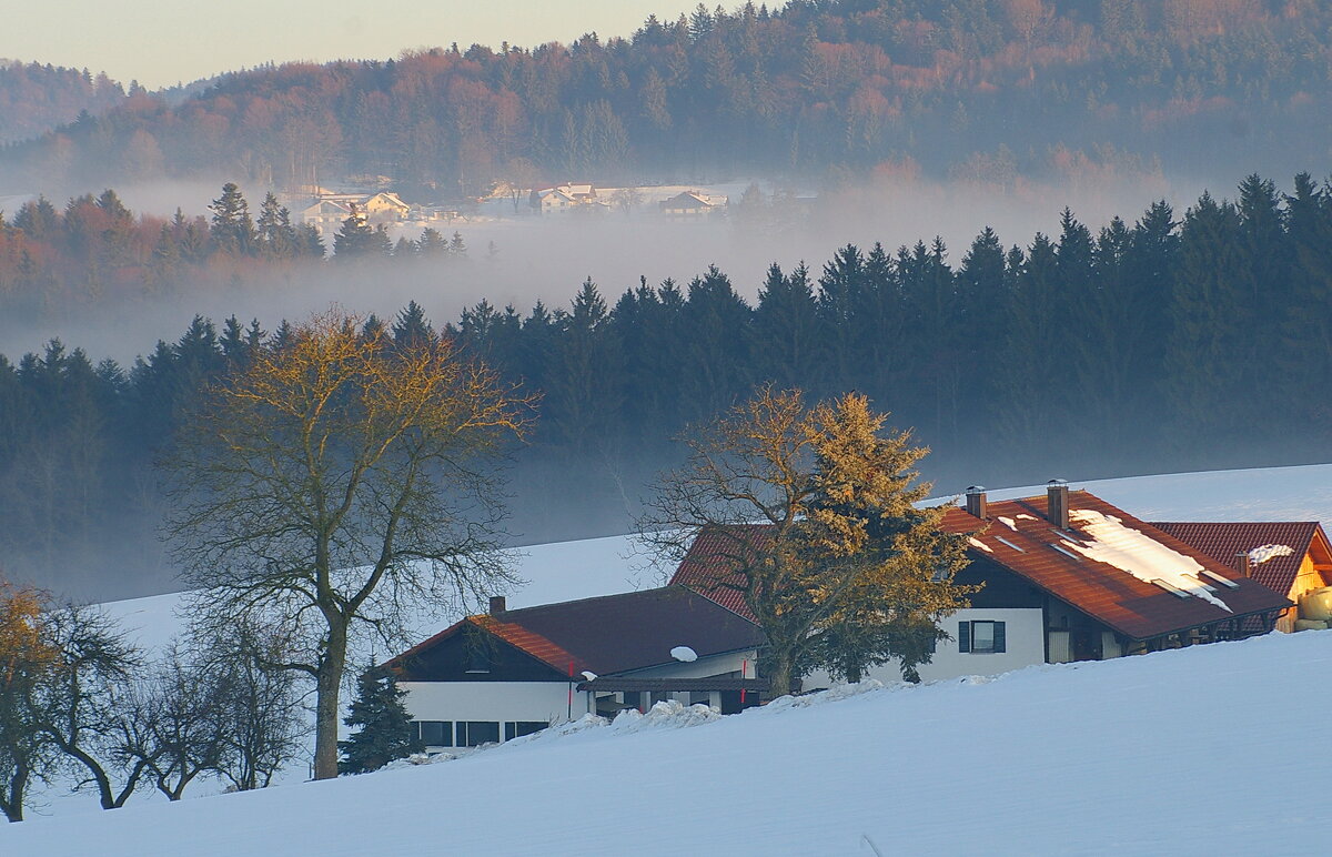 Туманное утро - Ирэн Туманное утро - Ирэн