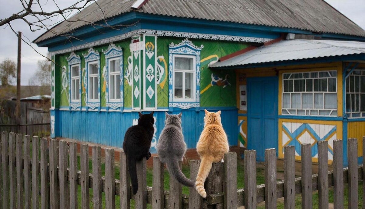 МАРТОВСКИЕ КОТЫ НА ЗАБОРЕ А МУРКА ДОМА СПИТ - СЕРГЕЙ ФИЛОЧКИН