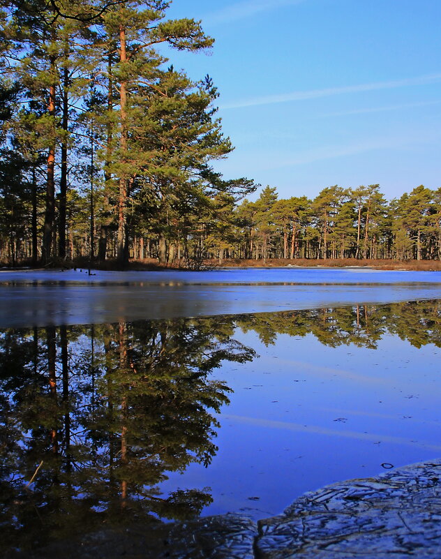 Тихий мартовский день .. - Татьян@ Ивановна
