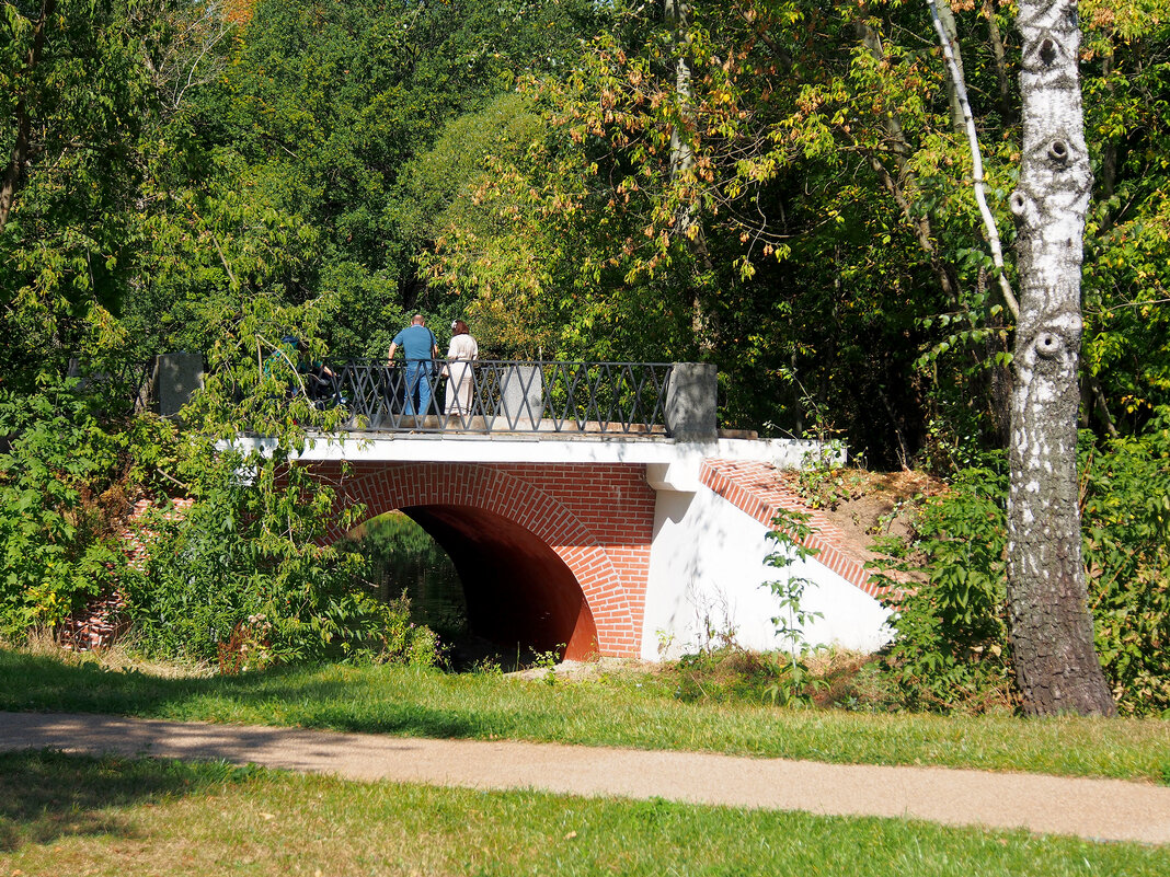 Кусковский лесопарк - Игорь Белоногов