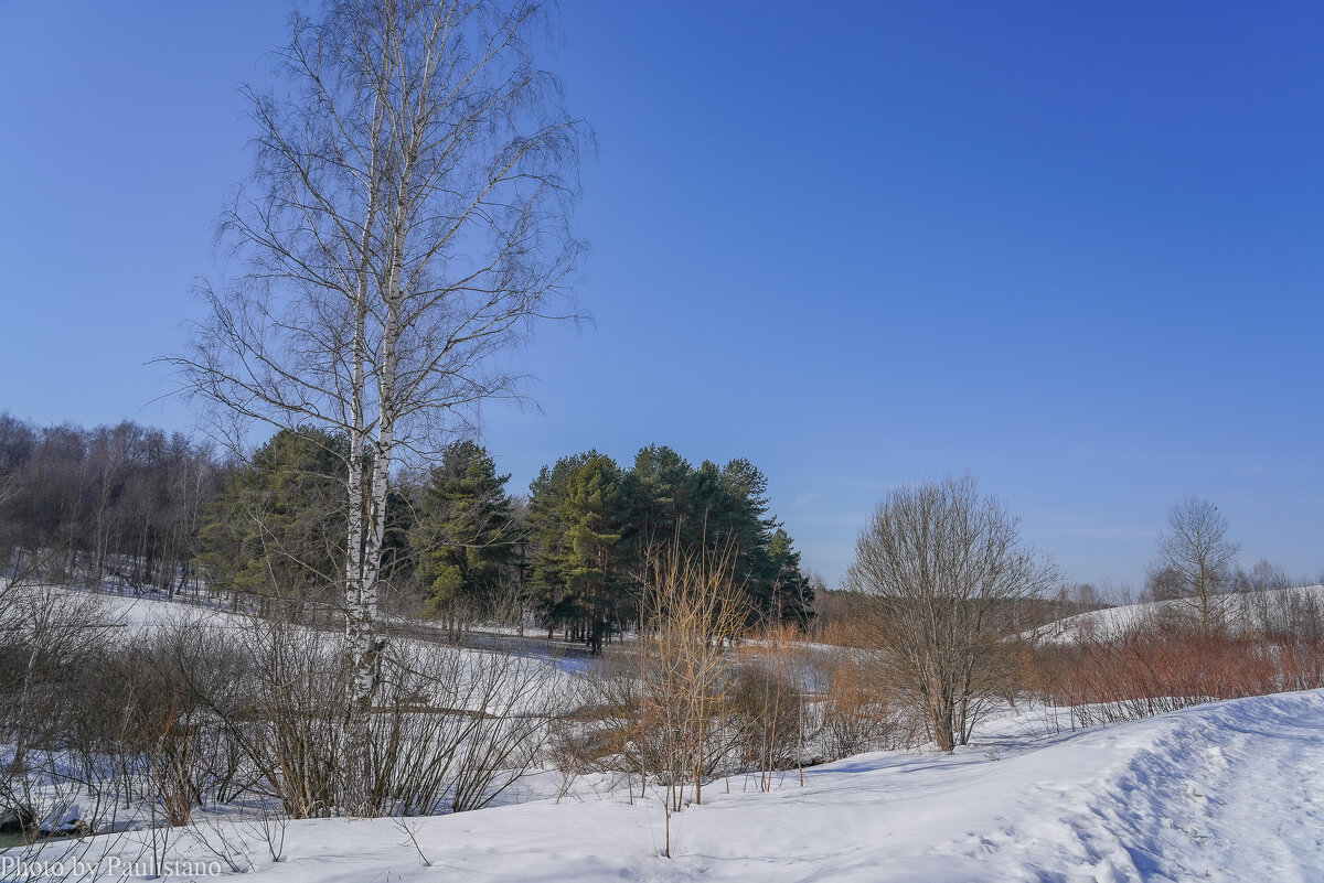 Под небом марта... - Владимир Жданов