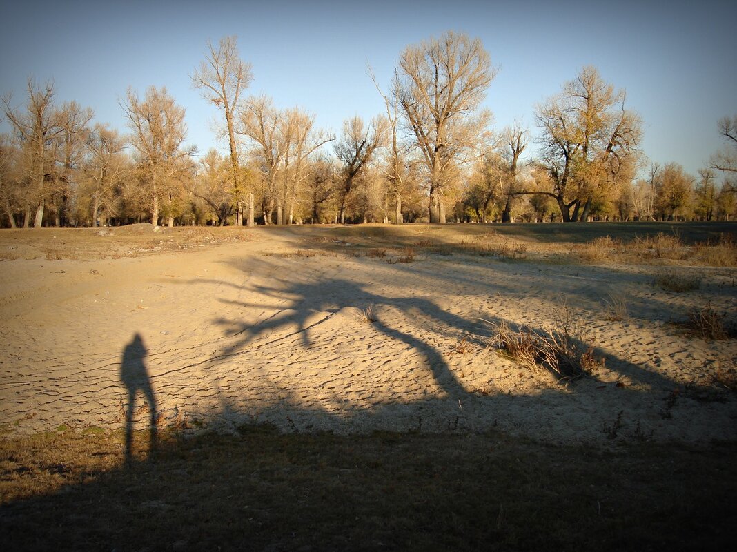 встреча с пришельцем) - Aндрей Антонов встреча с пришельцем) - Aндрей Антонов