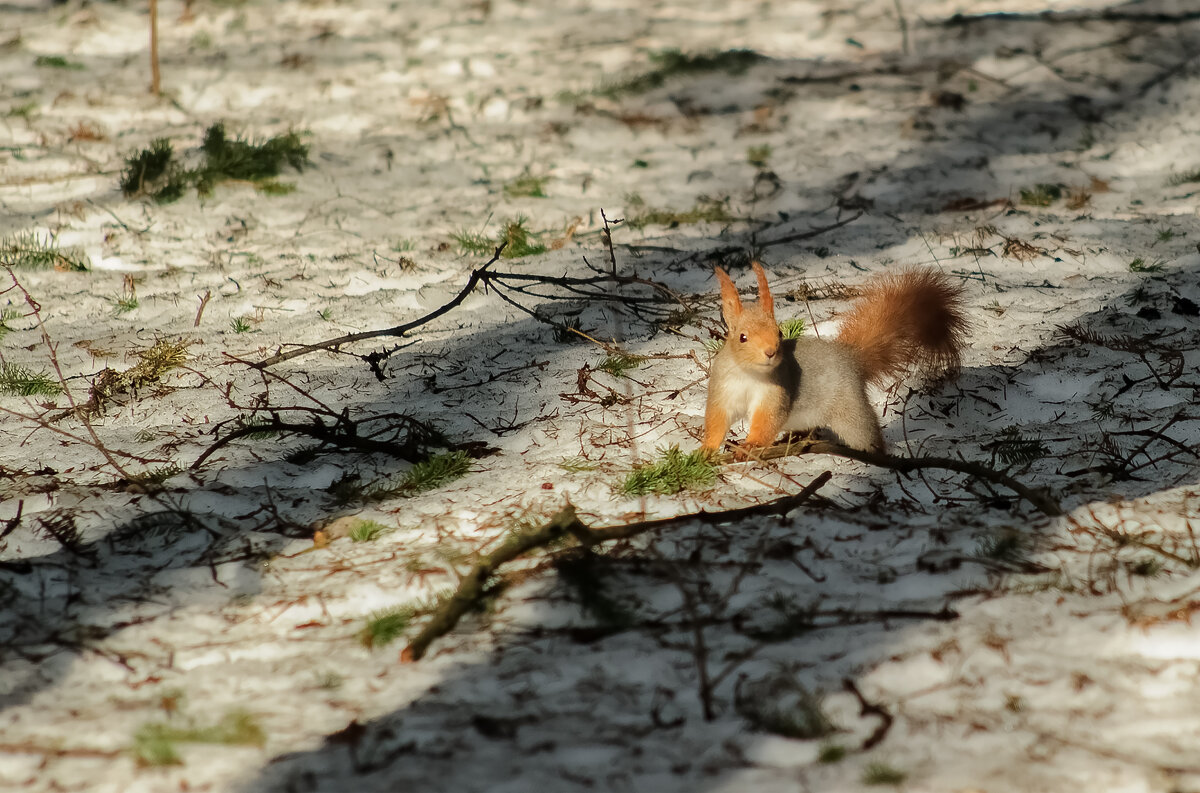 Иди, мне еще прибраться надо ! - Николай Иди, мне еще прибраться надо ! - Николай