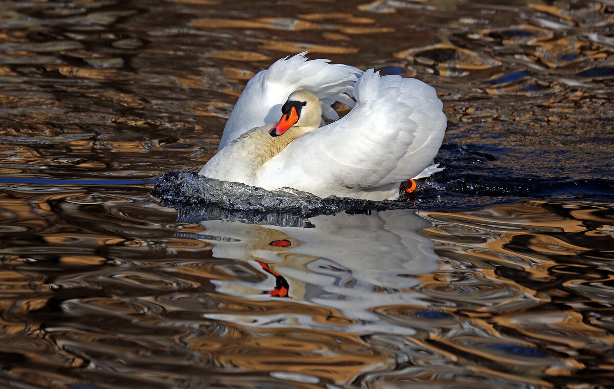март - Михаил Бибичков март - Михаил Бибичков