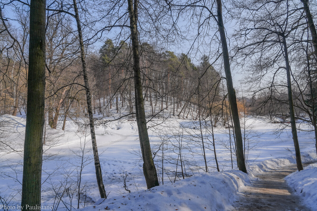 Март в Царицыно... - Владимир Жданов