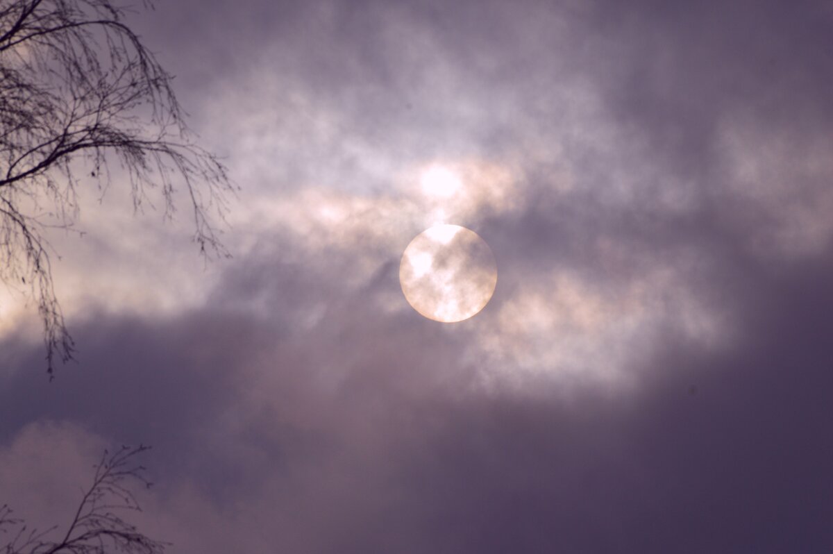 Солнце. - Андрей Андрианов