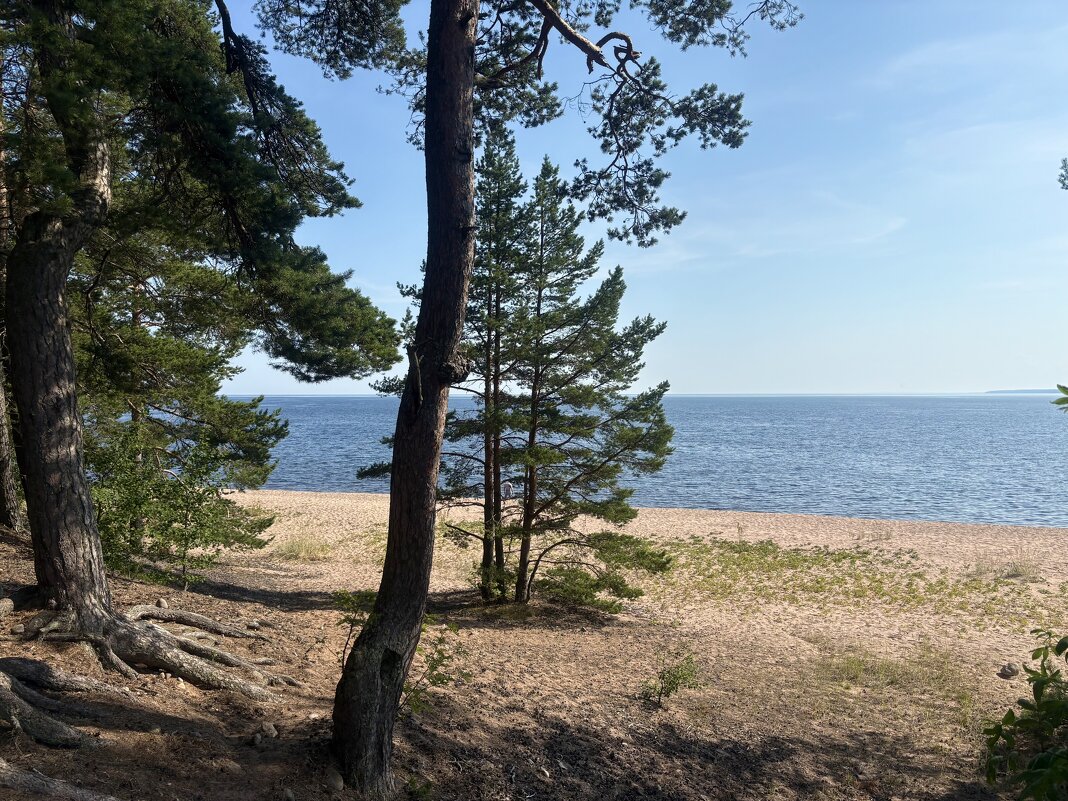 Тихий, уединенный остров Коневец...удалитьредактировать - Наталия Павлова