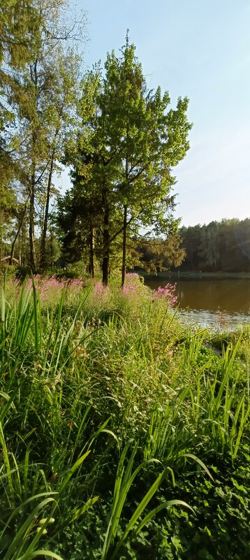 осенний парк - Галина R...