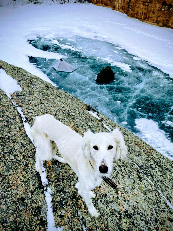 Тазы - Георгиевич 