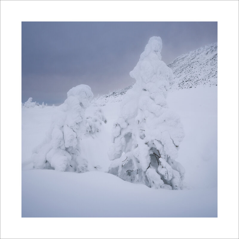 * - Александр Иванов