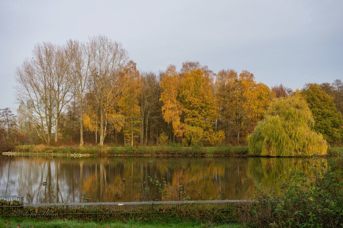 Ноябрьское... - Николай Гирш Ноябрьское... - Николай Гирш
