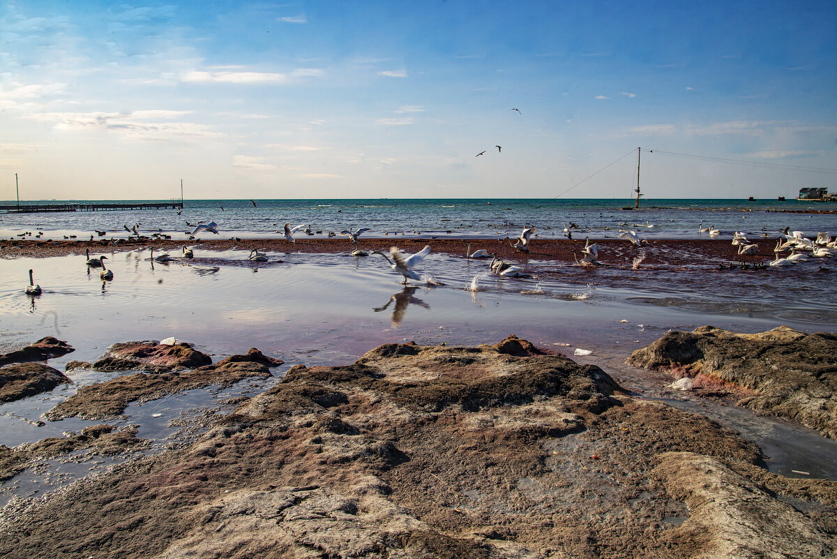 Каспий - Анатолий Чикчирный