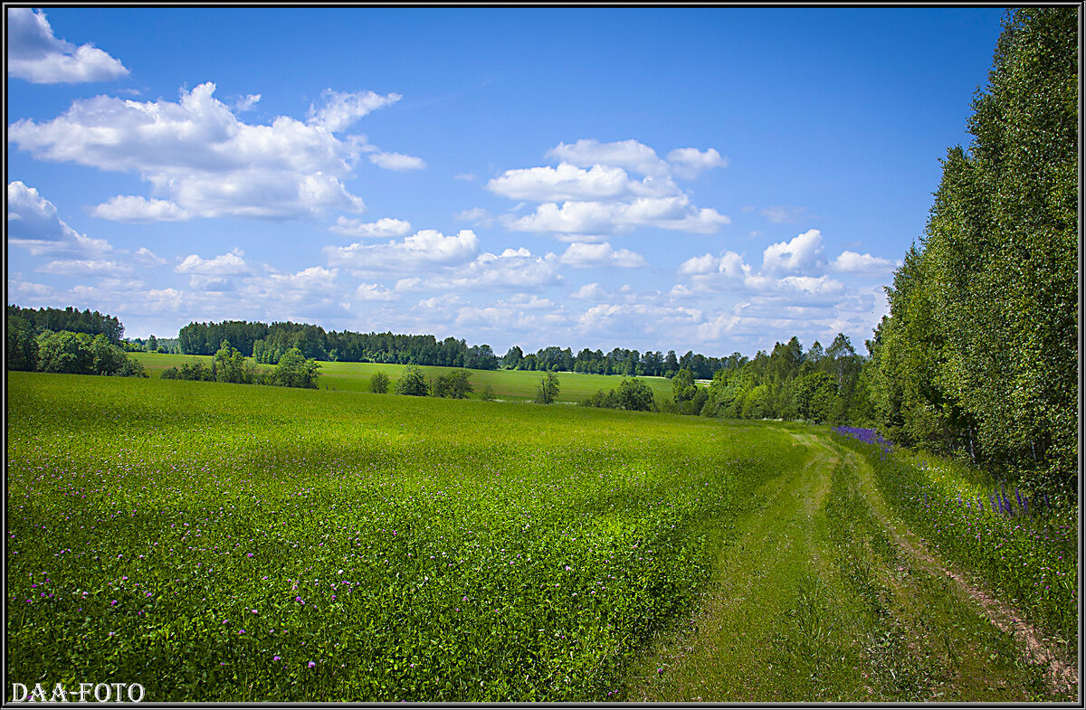 КАЛУЖСКИЕ ДАЛИ. - Александр Дмитриев КАЛУЖСКИЕ ДАЛИ. - Александр Дмитриев
