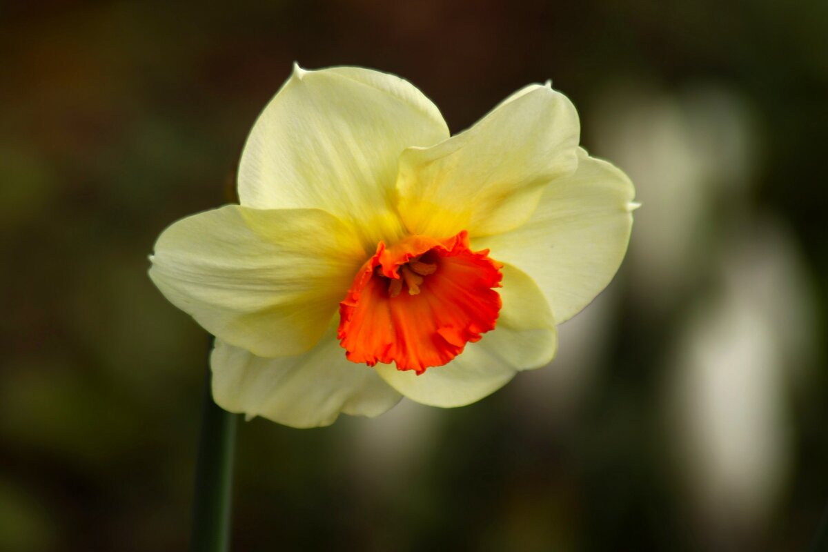 Доброе утро - Юрий. Шмаков Доброе утро - Юрий. Шмаков