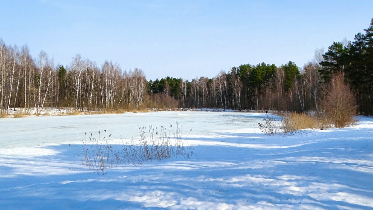 Весна в марте. - Милешкин Владимир Алексеевич Весна в марте. - Милешкин Владимир Алексеевич