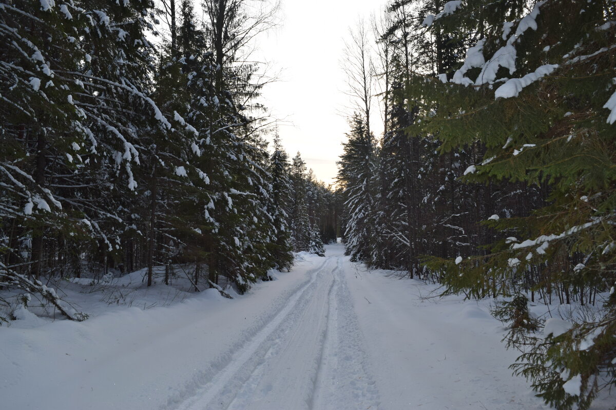 Зимняя дорога 2. - ВикТор Быстров Зимняя дорога 2. - ВикТор Быстров