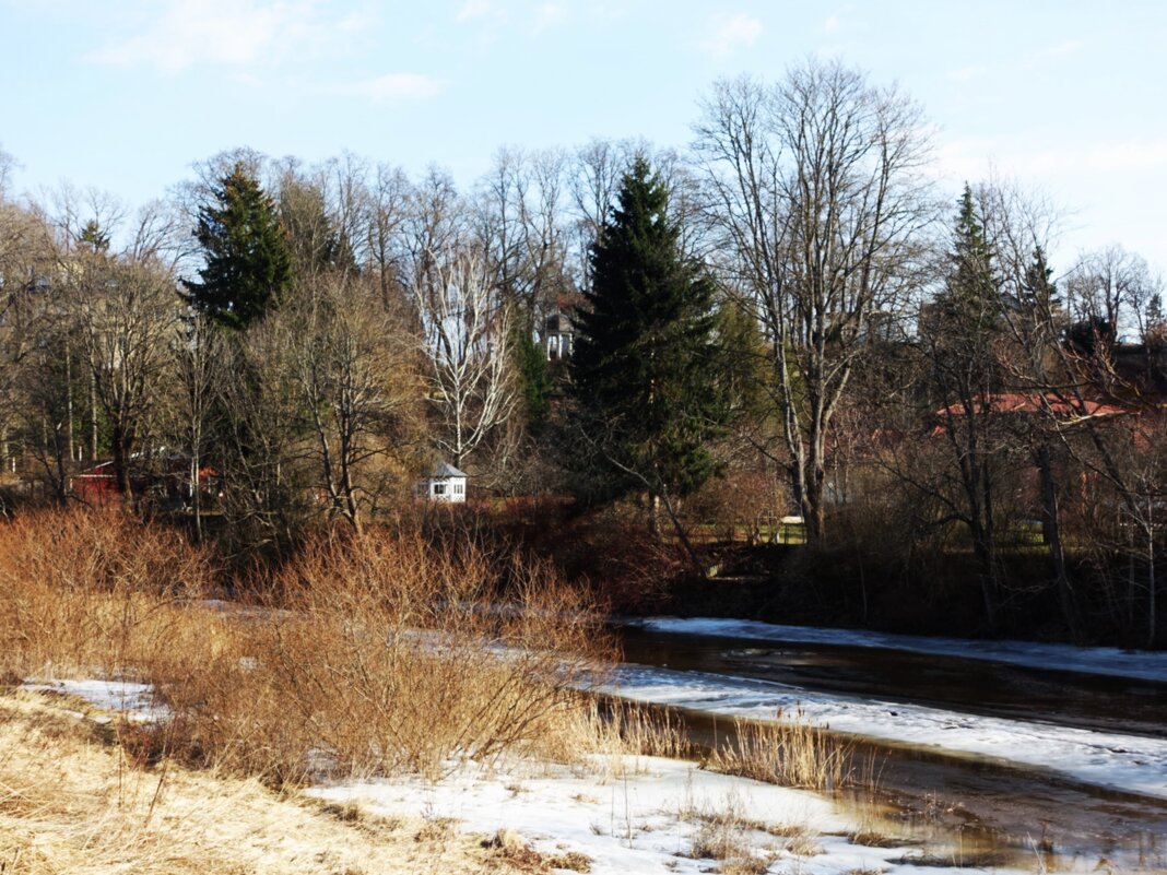 Река Пирита в марте - Aida10 Река Пирита в марте - Aida10