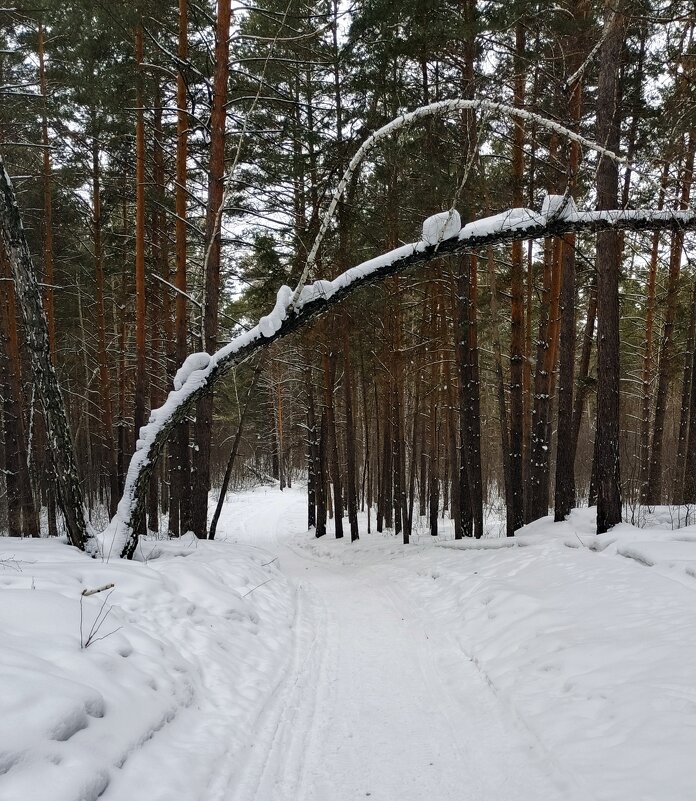 "Шлагбаум" закрыт . - Мила Бовкун