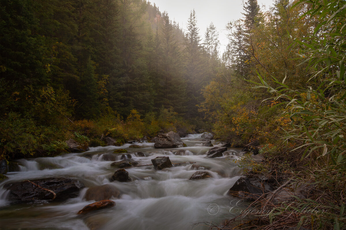 р.Чибитка в утреннем тумане. - Евгений Голубев
