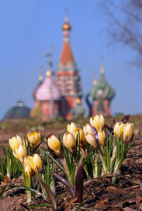 Зарядье 16 марта - Михаил Бибичков