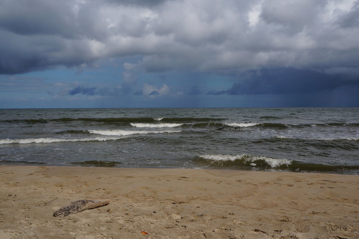 * ~ ~ ~ * - Алёна Савина