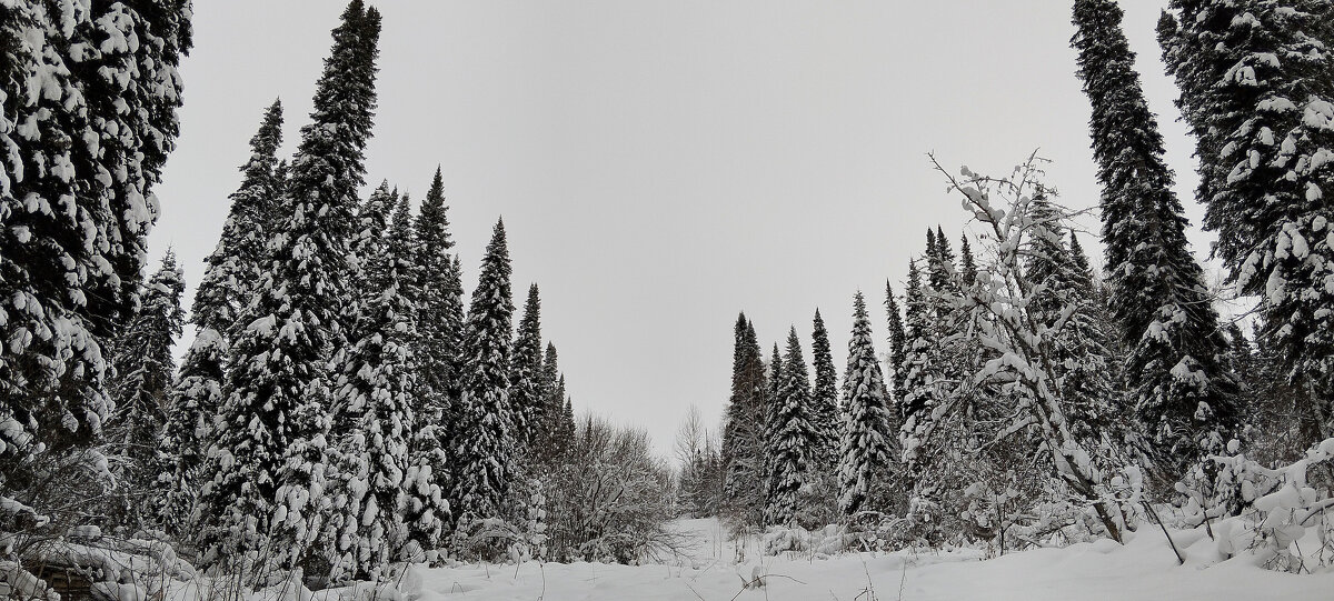 Зима - Радмир Арсеньев