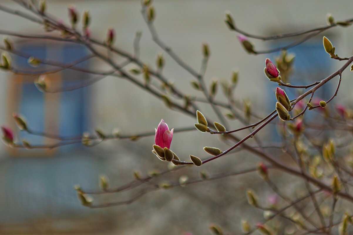 Начало положено... - Светлана Тихонина