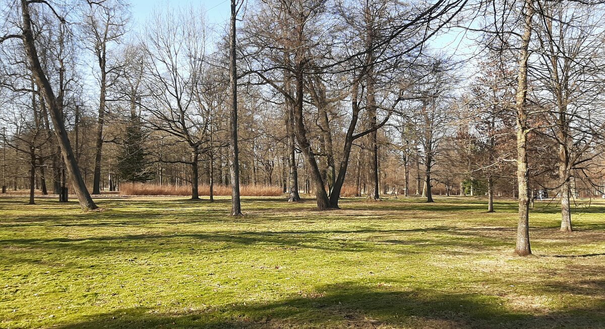 Парк Александрия. Середина марта - Наталья Герасимова Парк Александрия. Середина марта - Наталья Герасимова