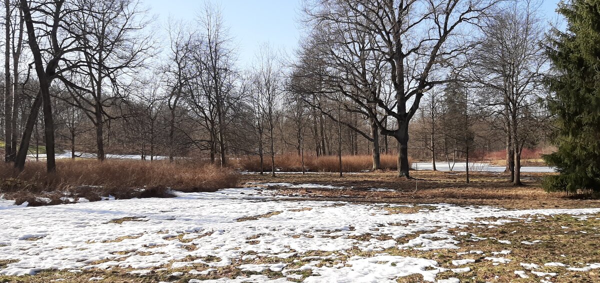 Ещё в полях белеет снег... - Наталья Герасимова