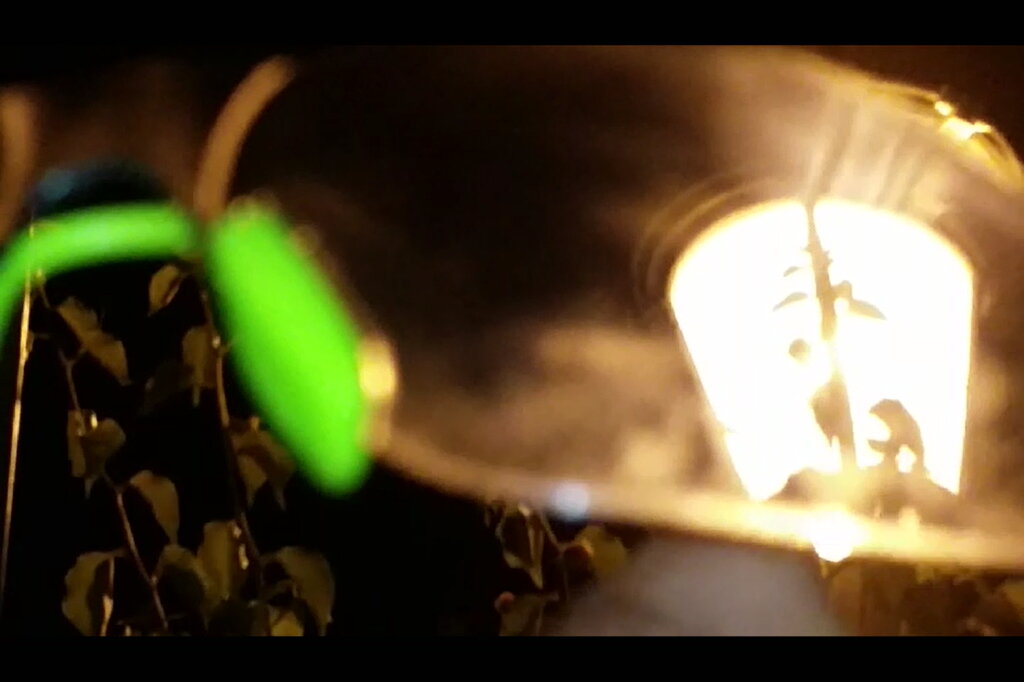 115 (213) - CLOSE WAYS ALL