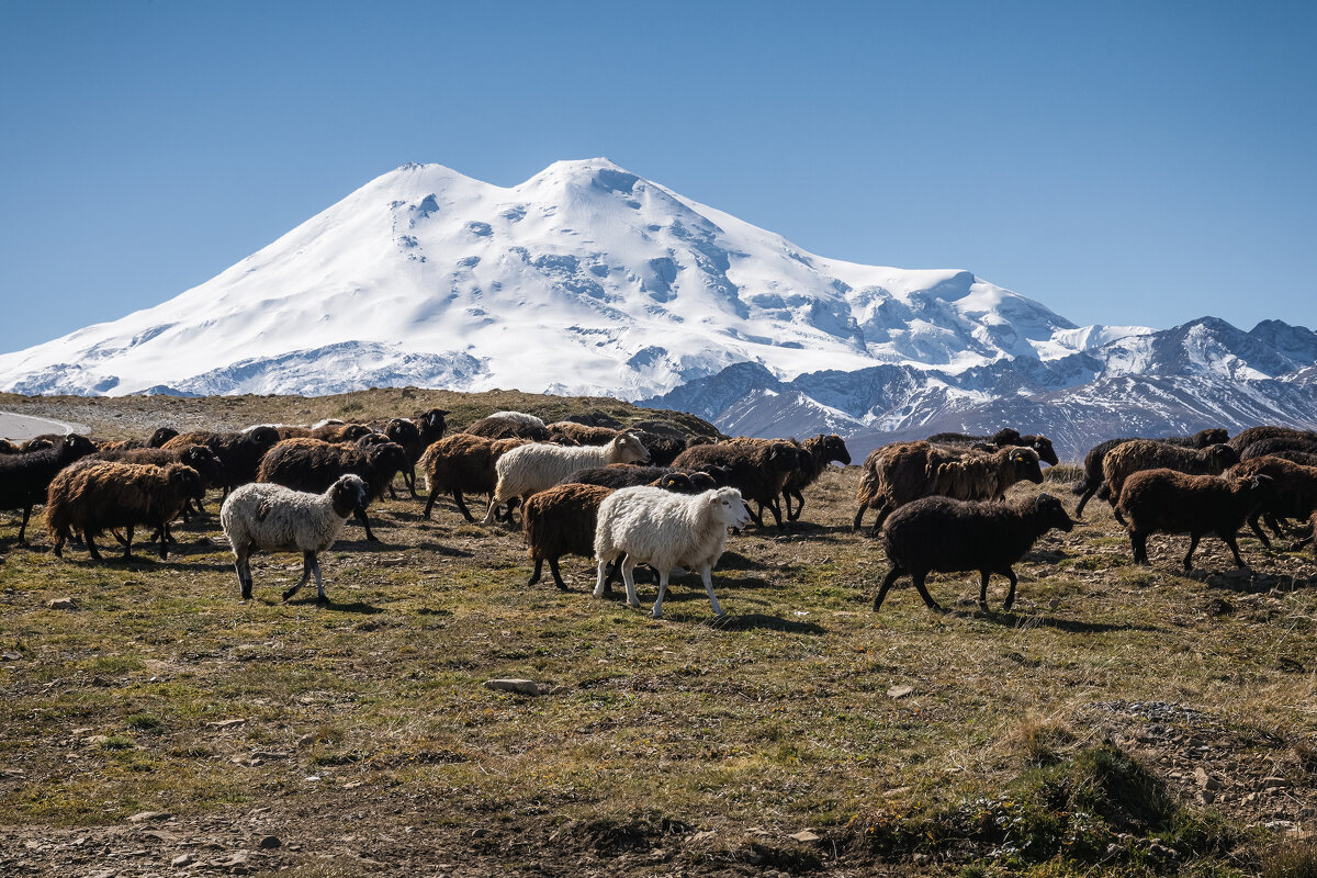 Кавказский променад - Сергей Сабешкин