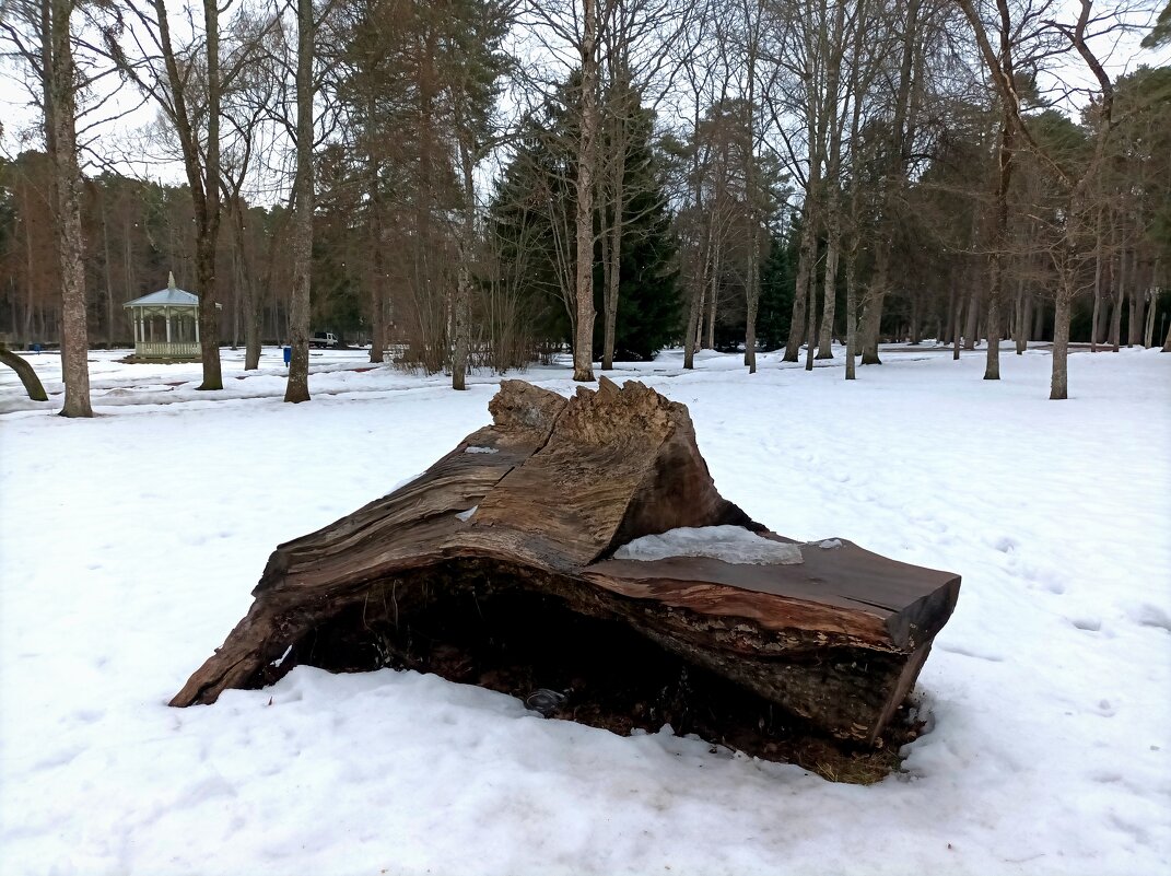 Прогулка в Нарва-Йыэсу - Veera V Прогулка в Нарва-Йыэсу - Veera V