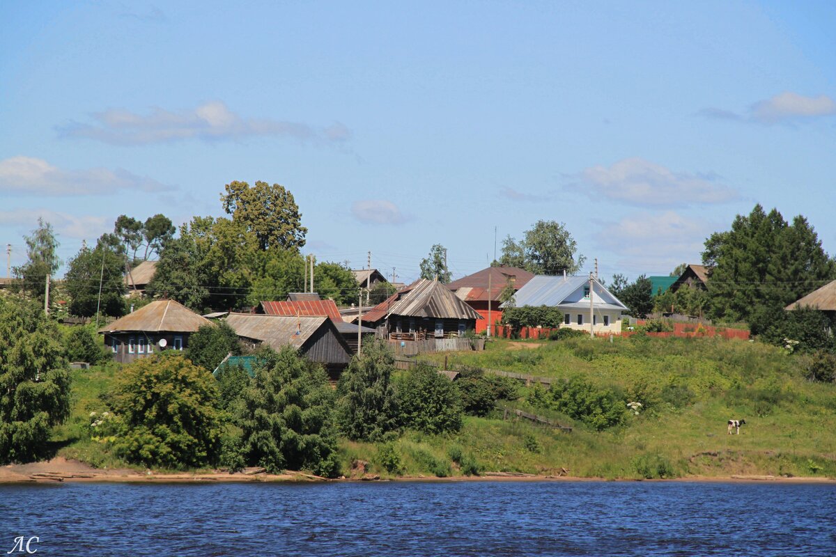 Деревенский пейзаж - Любовь Сахарова