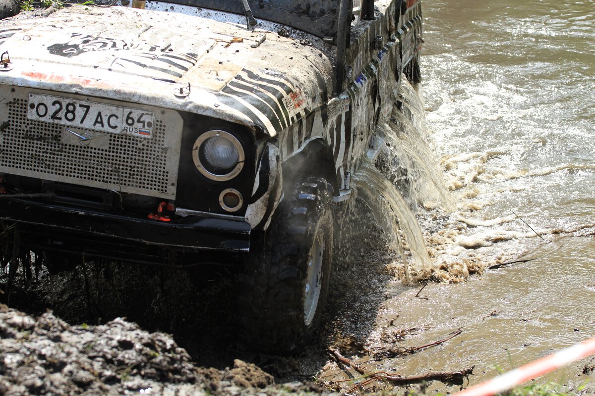 Вынырнул - Олег Денисов