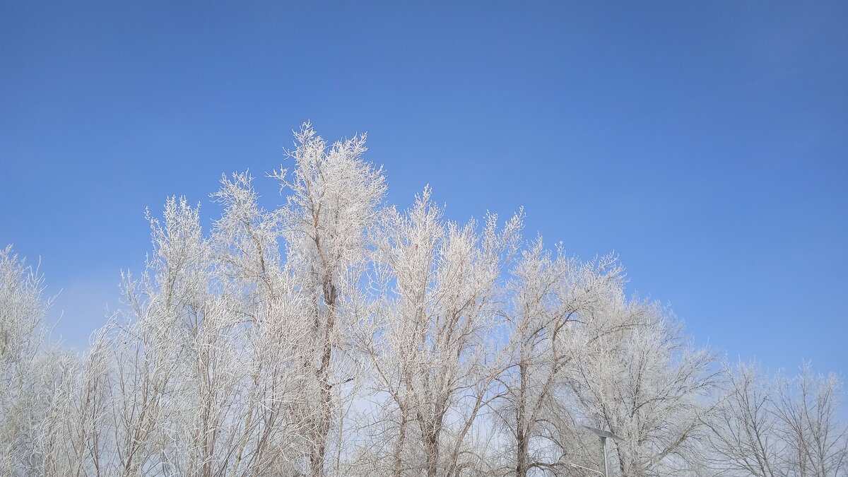 март - Елена Шаламова