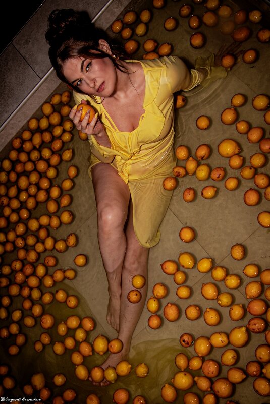 Страна Лимония - Евгений Ермаков